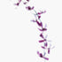 Purple Orchids Floral Art Print